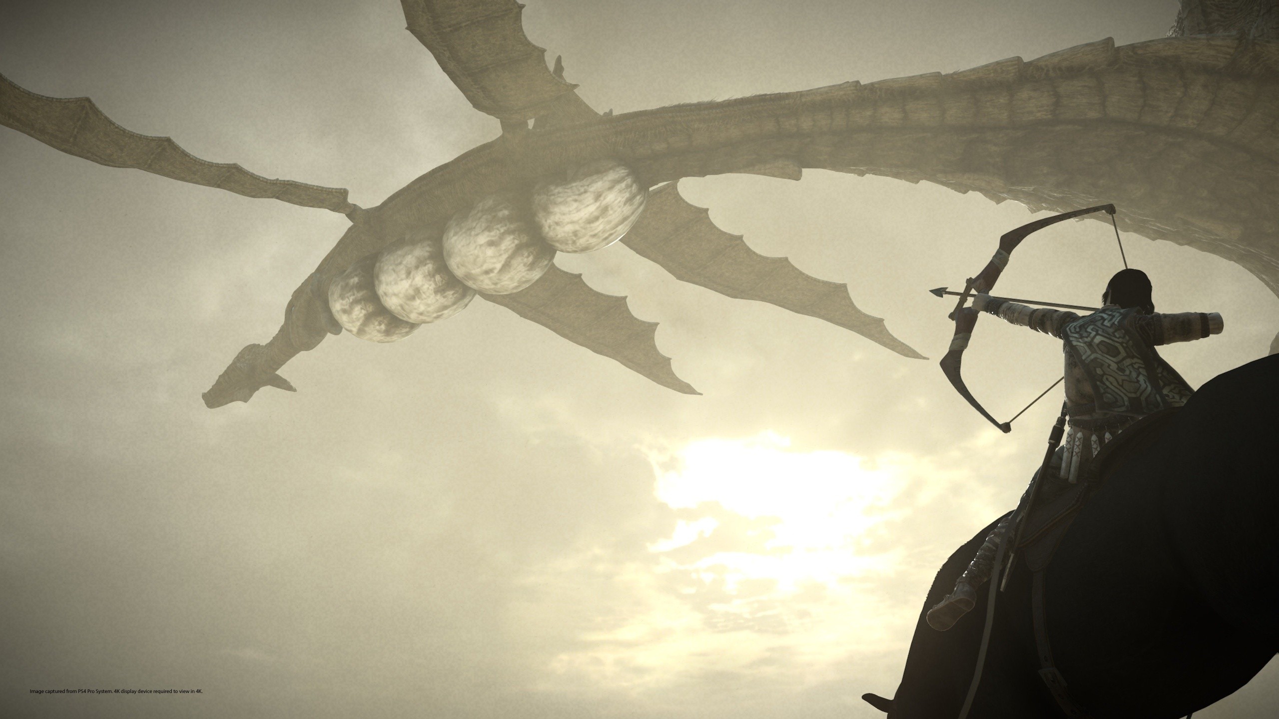 Shadow of the Colossus Remaster - Imagen 9